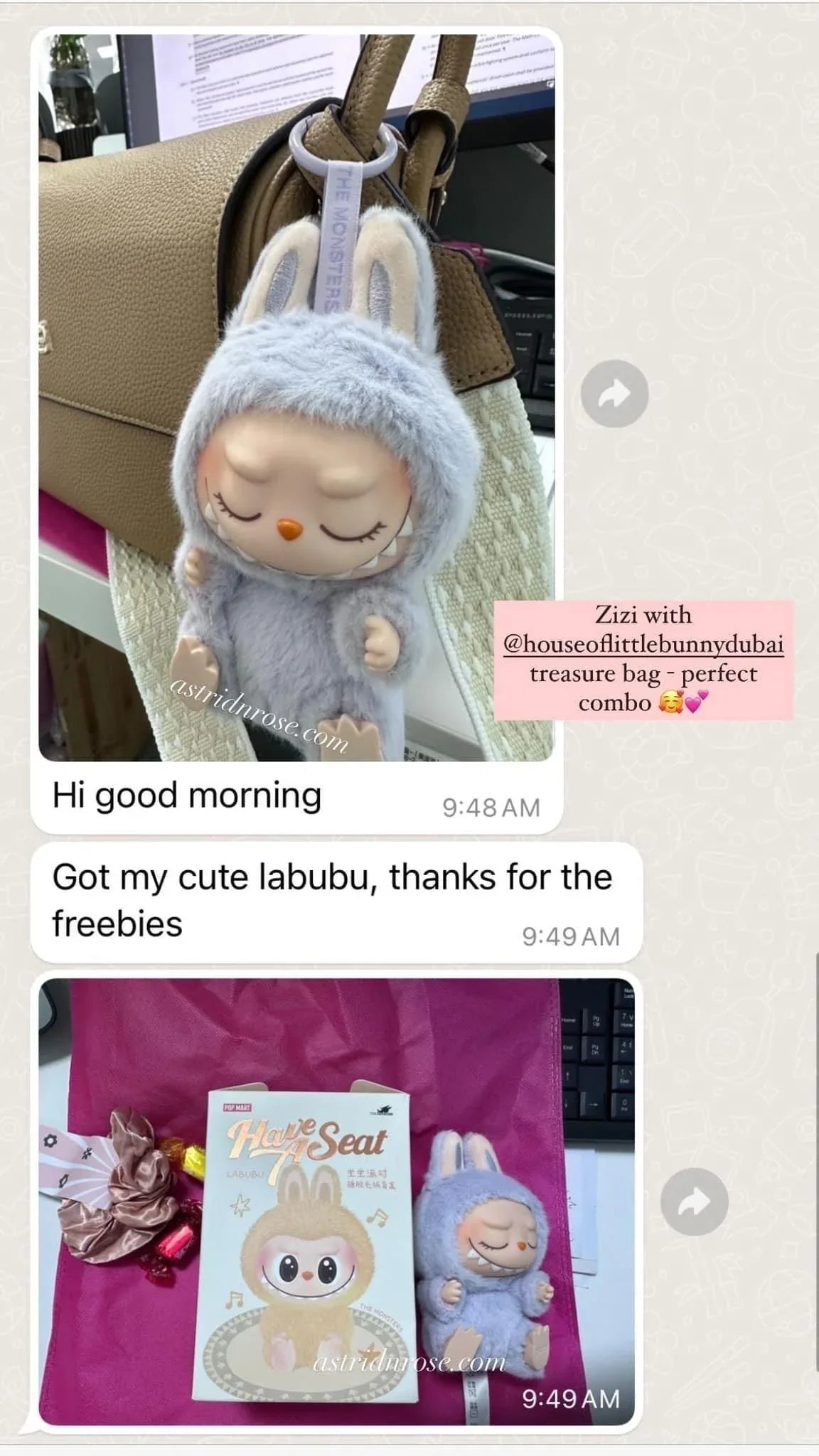 Labubu v2 The Monsters Have A Seat - Astrid & Rose