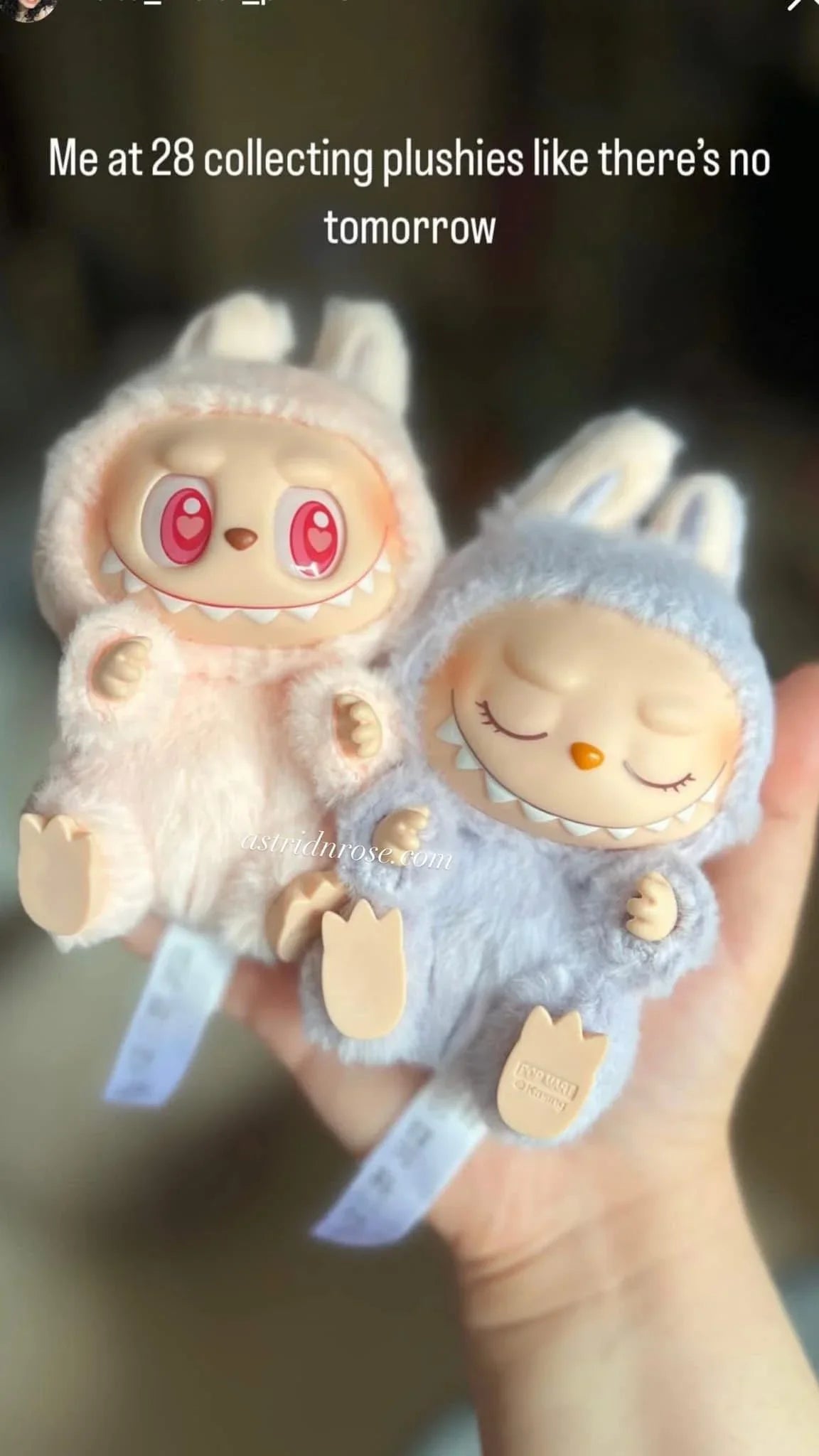 Labubu v2 The Monsters Have A Seat - Astrid & Rose
