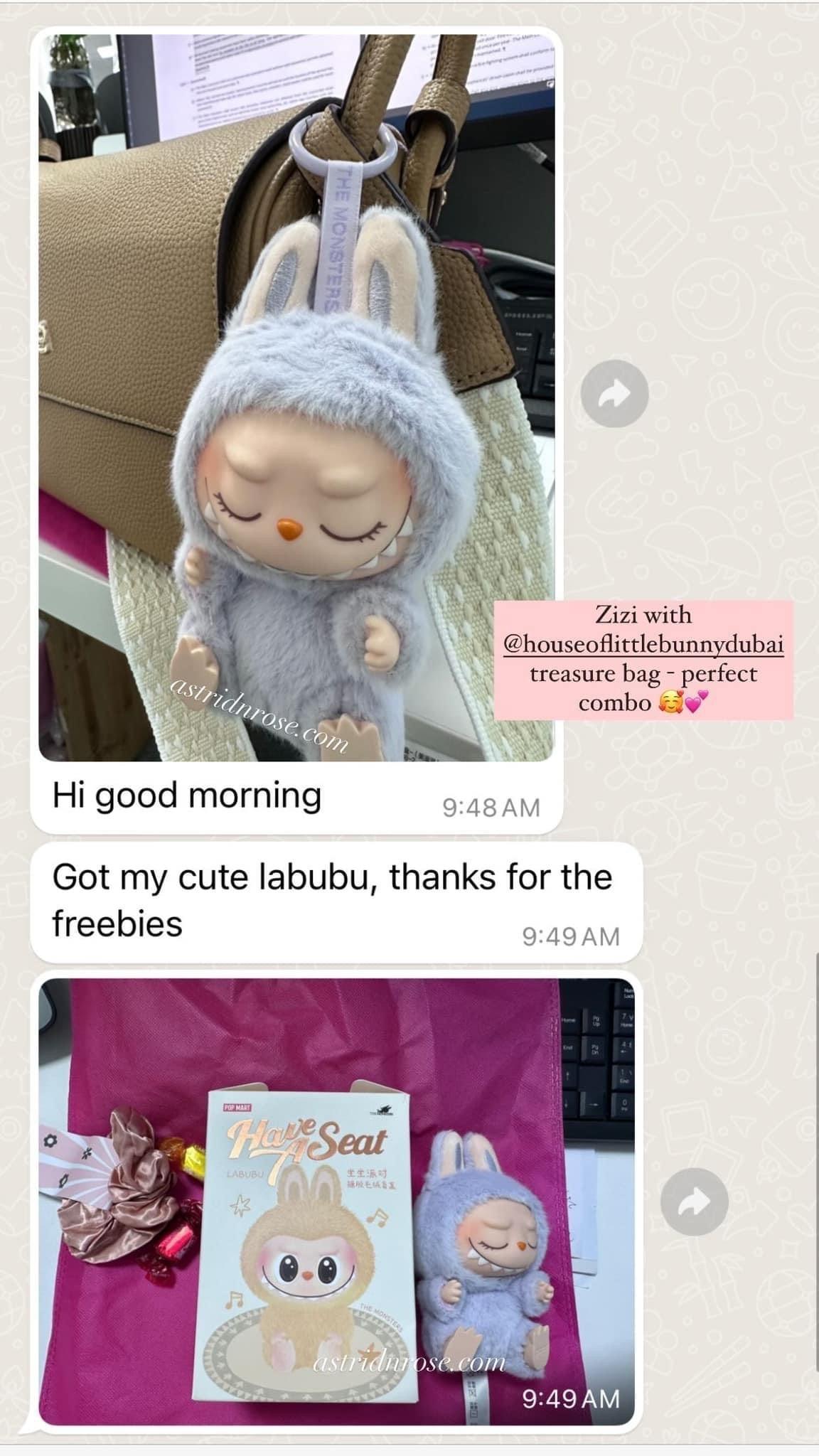 Labubu v2 The Monsters Have A Seat - Astrid & Rose