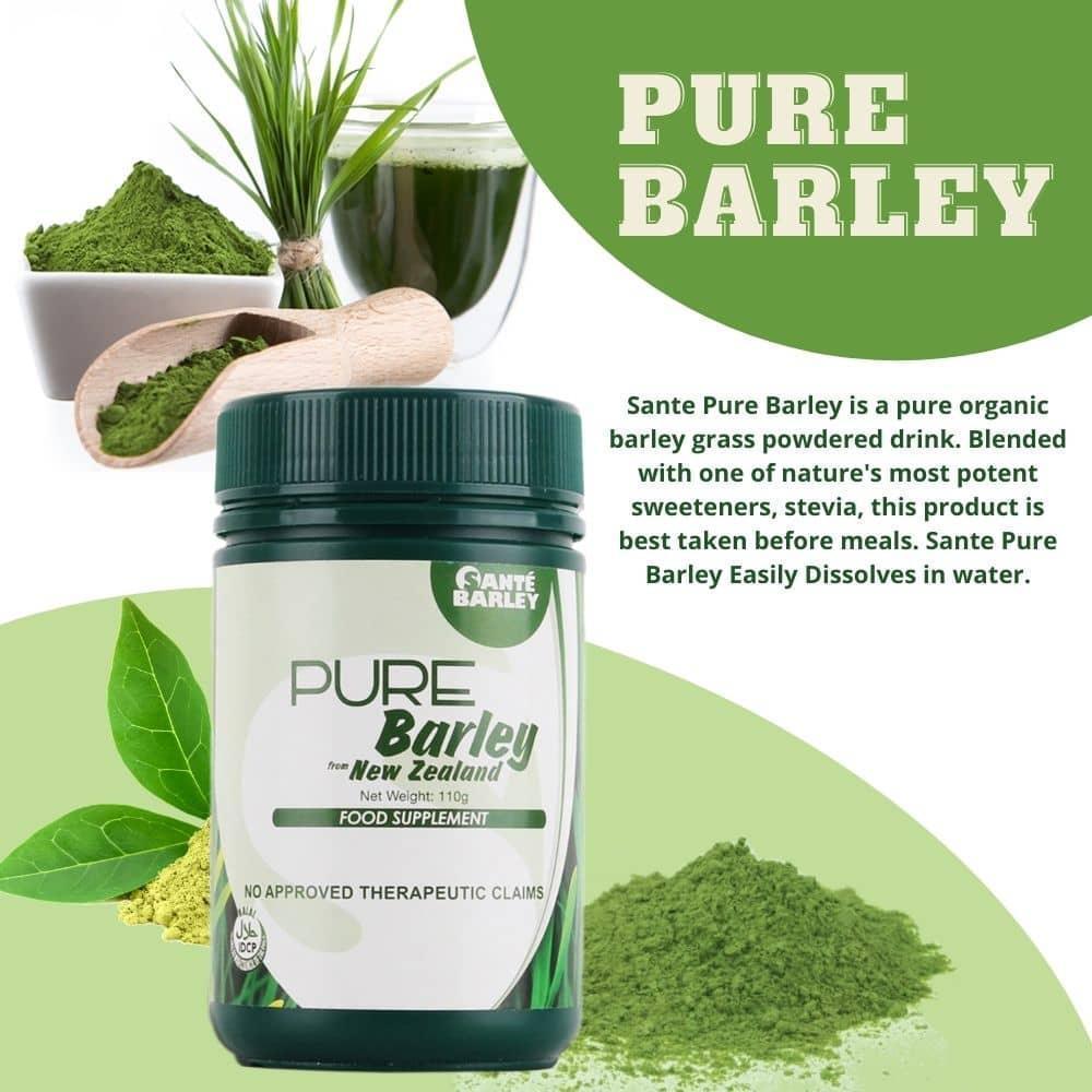 Pure barley grass powder supplement canister with green powder, leaves, and glass of barley drink